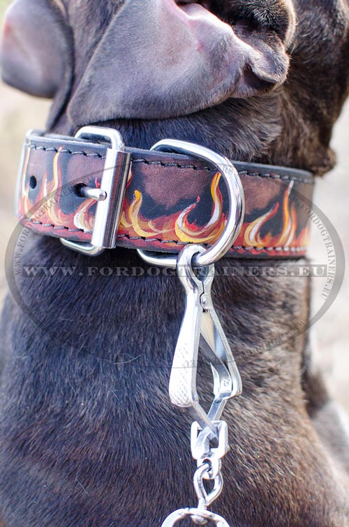 Reliable Dog Collar with
Handmade Painting for Pitbull