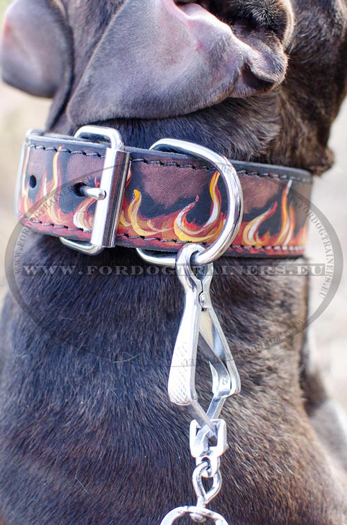 Collier durable et fiable pour Pitbull