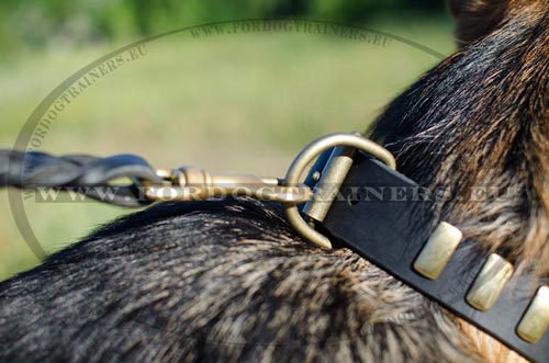 Leather dog collar for daily walks with German Shepherd