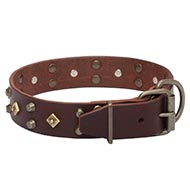 Leather Canine Collar