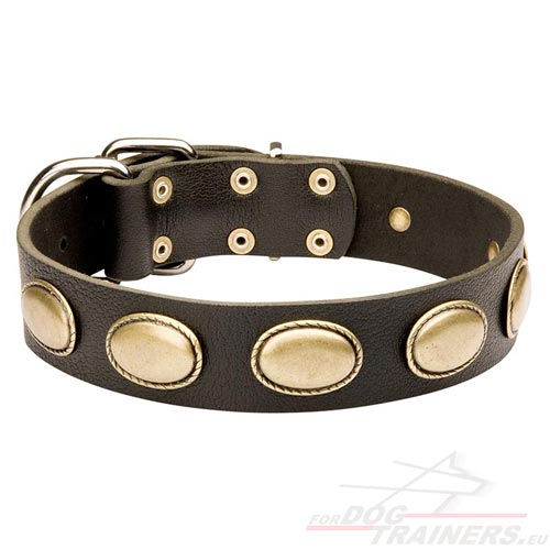 Collier aux médaillons en laiton pour chien