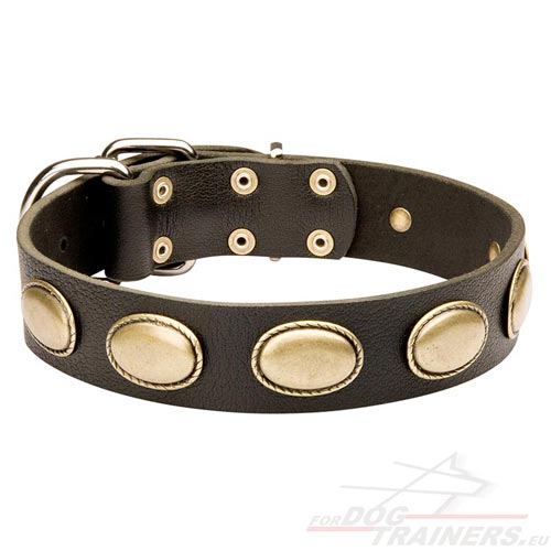 Collier aux mdaillons en laiton pour chien