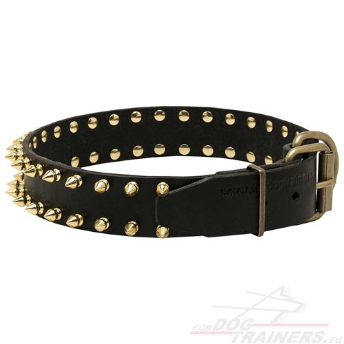 Collier en cuir solide pour Bull Terrier