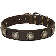 Leather Dog Collar Vintage Style