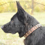 Super Lederhalsband mit Nieten fr Deutschen Schferhund