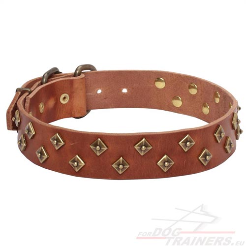 Collier de grande résistance pour chien