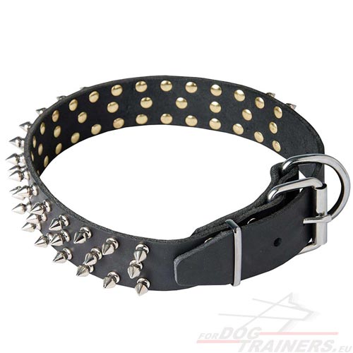 Collier en cuir solide pour chien fort