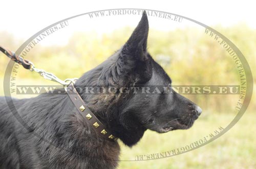Leather Dog Collar for Affordable Price