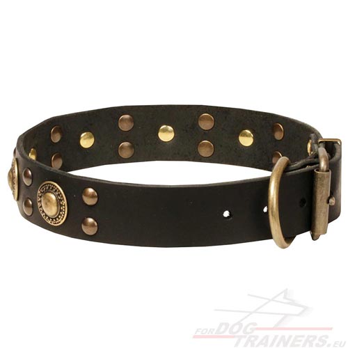 Collier en cuir vritable et laiton pour chien