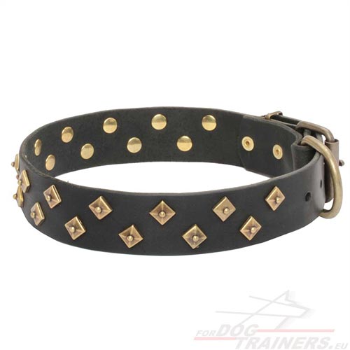 Collier en cuir souple pour chien