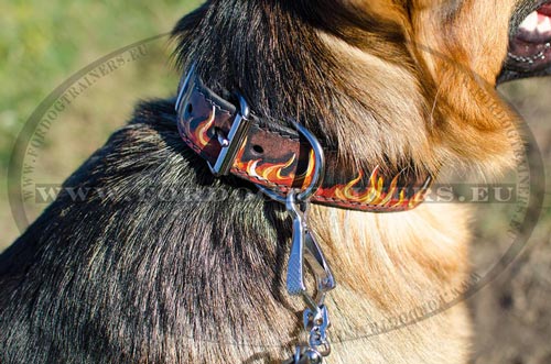 Rust-proof Furniture of Painted Dog Collar