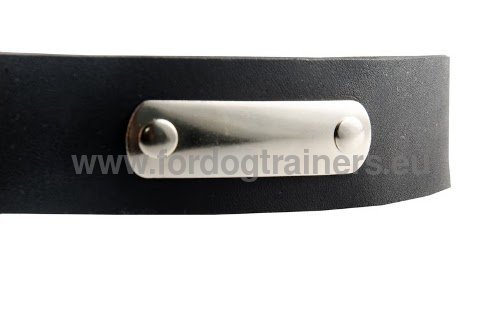 Leather Collar ID for Siberian Husky