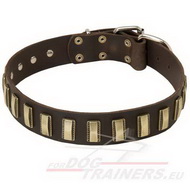 Collier tendance pour chien