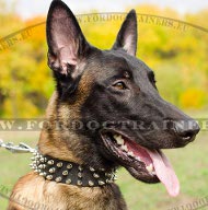 Collier luxe pour Malinois | Collier fait  la main❺