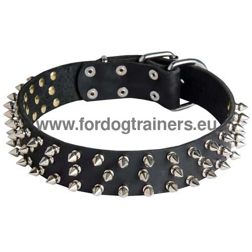 Collier en cuir pour Bull Terrier
Haute Gamme