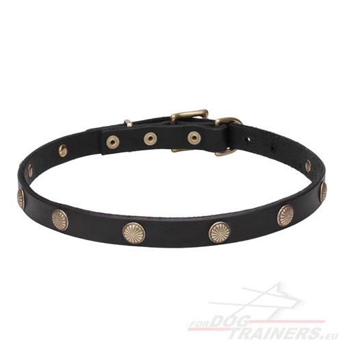 Collare con borchie decorative in ottone per cane