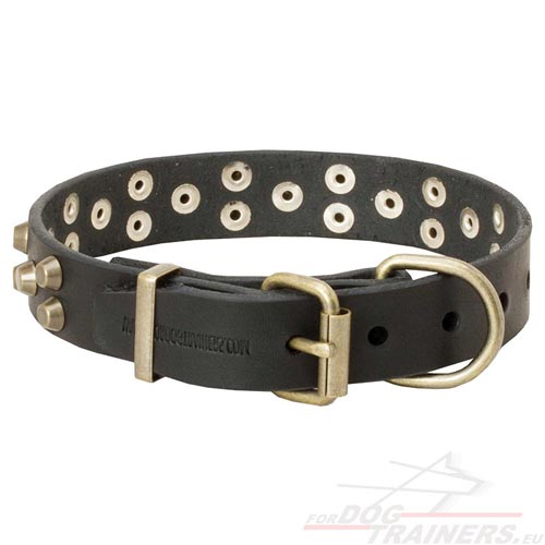 Collier de grande solidit pour chien