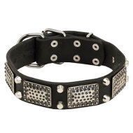 Collier exclusif pour chien Confort & Fonctionnalit