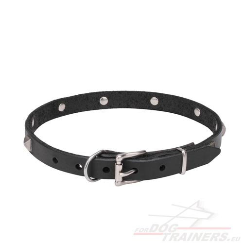 Collare stretto in cuoio di alta qualità per cane