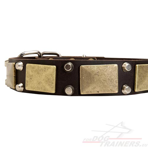 Collier stylé pour chien