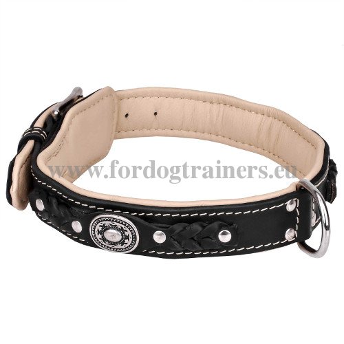 Collier de grande solidit pour chien