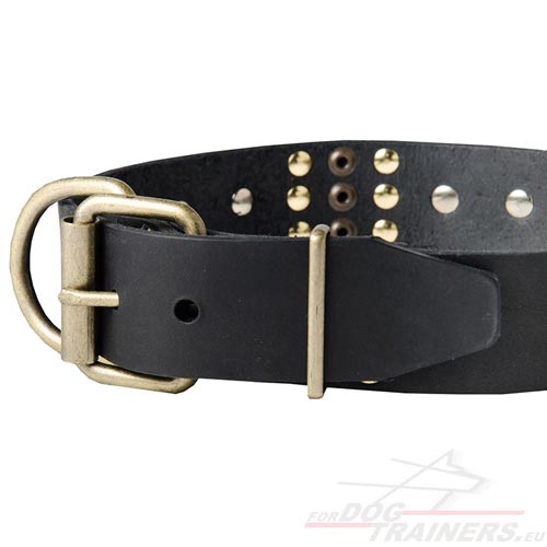 Collier en cuir pour chien Super Classe