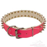 Collier en cuir Solution Élégante pour votre chienne
