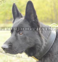 Hetz-Hundehalsband aus Leder fr Deutschen Schferhund