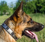 Lederhalsband mit Pyramiden fr Deutscher Schferhund