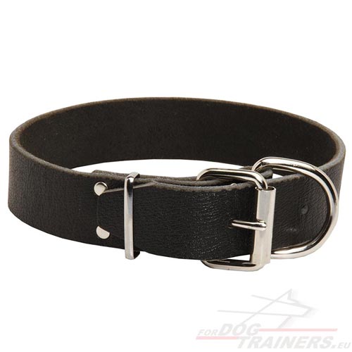 Collier en cuir et acier plaqu nickel pour
chien