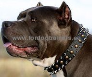 Halsband Nieten & Spikes | Hundehalsband Leder fuer Pitbull