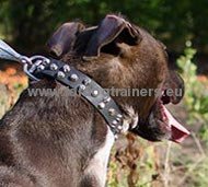 Strong Dog Collar for Pitbull with Pyramids ✤