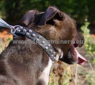 Leather dog collar with cut cones for
Pitbull