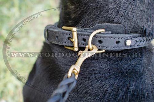 Collier en cuir fait à la main pour Bouvier suisse