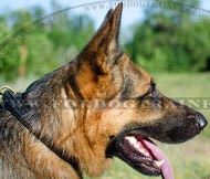 Deutscher Schferhund Lederhalsband geflochten