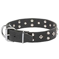 Wide Leather Dog Collar Decorated