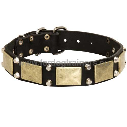Leather dog collar for Pitbull Style and Comfort
