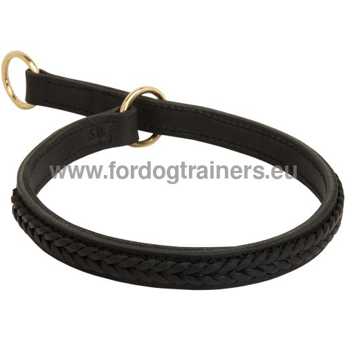 Collier en cuir avec tresse pour Bull Terrier