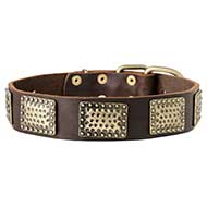 Gorgeous War Dog Leather Dog Collar