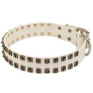 Collier en cuir blanc dcor pour chien