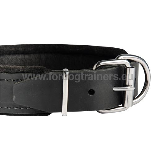 Leather Padded Collar Hardware