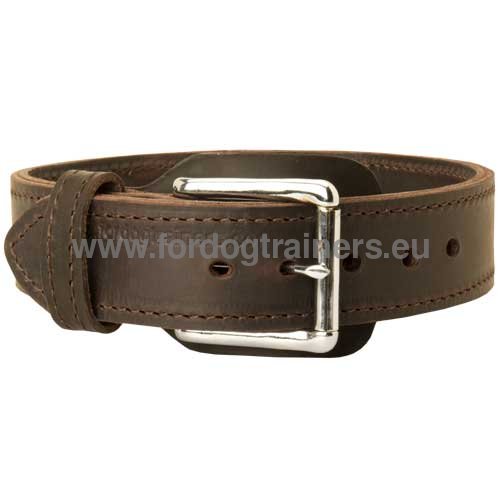 Collier en cuir pour chien de Berger TOP Qualit