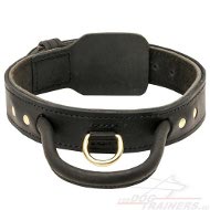 Leather dog collar with handle for Labrador