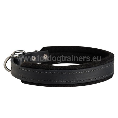 Leather Dog Collar for GSD Training