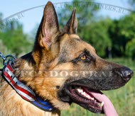Leather painted collar for German Shepherd with the USA
flag design