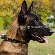 Leather Dog Collar with Silver Spikes