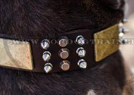 Hundehalsband Leder Exklusiv mit Spikes, Pyramiden und Platten