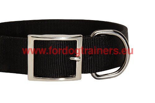 Collare molto resistente per Dobermann