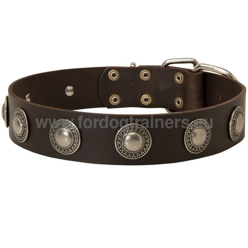 Deluxe dog collar with embossed plates