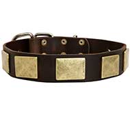 Leather Dog Collar Design with Plates